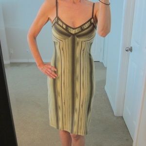 BCBGMaxAzria Brown & Green Fitted Dress